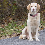 Waiting for the postman...