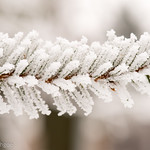 Frost Macro-7