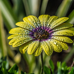 The way it is today.