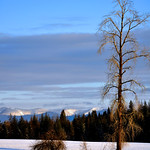 Standing Tall (Explored)