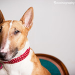 Is this my best side?