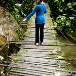 Mindo Cloud Forest, Ecuador