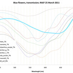 Blue flowers transmission spectra