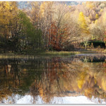 Polney Loch (Autumn Colours)