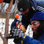 Tree Pruning Workshop