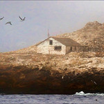 Southeast Farallon Island