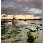 Exe estuary at sunset
