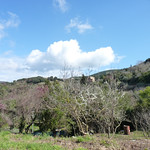 Porto Santo Stefano - 3/29