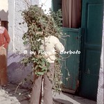 Satriano di Lucania (PZ), 1975, Carnevale: "u rumit".