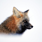 Something on my mind