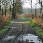 Chemin verglac&eacute;