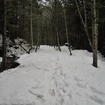 Dirty Harry's Balcony 2011 018