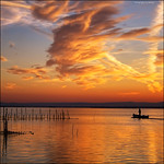 0852 l'Albufera de Val&egrave;ncia