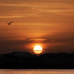 Subtle sunset, Waterloo. Explored