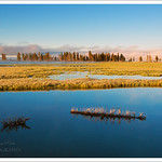 Lake Yellowstone Dawn