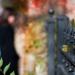 330/365: Happy Fence Friday: {Wrigleyville} Edition!