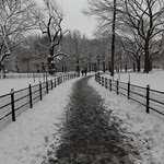 Icy Path 1 (Central Park/NYC)