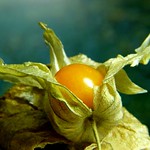 Et voil&agrave;, ....... senza veli!