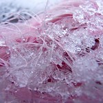 Ice on a pink rope