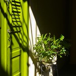 PUERTA VERDE (GREEN DOOR)