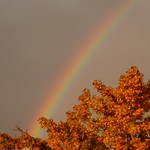 Autumn Rainbow