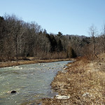 Little Rouge Creek