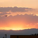 Denver Sunset 6-10-2011 - 3