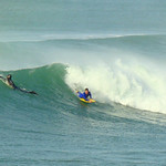 &copy; Magali Nouguier