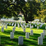 Arlington Cemetery
