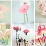 Things I &hearts; Thursday = Soft Pink Flowers with Blue