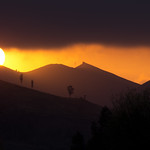 Ephemeral and unexpected