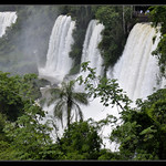 Iguazu falls