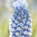 &ldquo;Sitting quietly, doing nothing, spring comes, and the grass grows by itself&rdquo; Zen Proverb