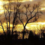 winter photo 3 24 2011. so cold !