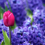 Keeping Up Appearances...