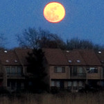 A most "Auspicious" sign!