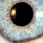 Eye Macro