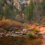 Sedona & Oak Creek Canyon 240