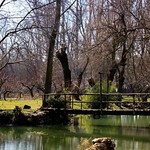 #lebanon #west_bekaa #nature #photography #nature_photography #landscape #green #river