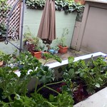 A view from the window