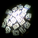 A full pack of Bottle Rockets