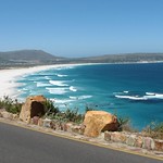 Cape Point Jan 2008 024