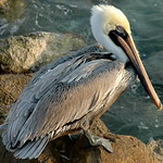 Just Hangin' Out (EXPLORED)