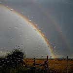 Beauty is always present... we just have to accept it the way it is...