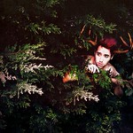 &lrm;81/365. sugar we're goin down.