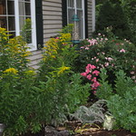 Centralia MO Flower & GC, Missouri