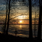 The Wolf Island *EXPLORE*