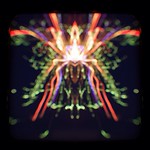 Fireworks orchid #mirrorgram