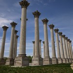 Capitol Columns