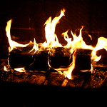 Fire log